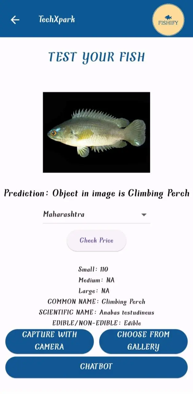 project_image